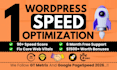 do wordpress speed optimization for google pagespeed insight