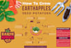create an extraordinary infographic for amazon or instagram