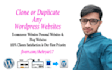 build wordpress website design and development or redesign