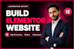 design elementor website and element landing page design