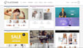 be your flatsome expert also divi avada enfold astra