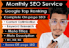 complete monthly wordpress on page SEO service for google ranking