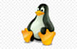 help with linux problems