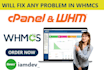 do any type of task in whmcs and setup for you