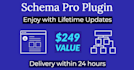 install schema pro plugin with lifetime updates