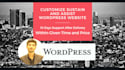 customize sustain and assist wordpress website