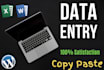 do fast data entry typing work job