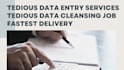 do fastest ms excel data cleaning and website data entry tasks