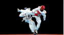 taekwondo karate and self defence