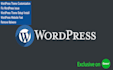design a responsive wordpress landing page website in 24 hours