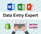 handle excel data entry and management