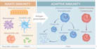 design and make your scientific illustrations and figures