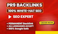 give you white hat link building SEO manual pr9 backlinks