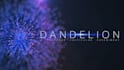 do professional title design