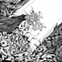 do dark art illustration