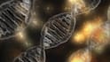 research your genetic genealogy dna