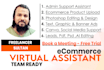be your ecommerce data entry and photoshop virtual assistant etsy shopify