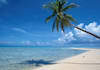 help plan your next vacation