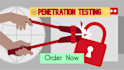 do advanced pentest on your website with report