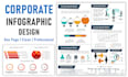 create custom infographic charts and data visualization for your business