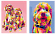draw a photo of your pet in wpap pop art in less than 1 day