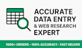 do excel data entry and web research tasks professionally