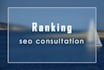 consult on SEO ranking