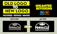 design, edit, fix, vectorize, modify, redesign or recreate current business logo