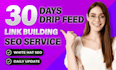 do 30 days drip feed monthly SEO link building service