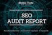 audit your website and SEO report for higher rankings