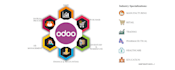 help in odoo custom modules, customization and reports