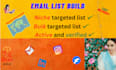 provide niche targeted b2b lead gen for your email marketing