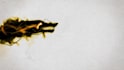 create awesome ink dragon logo intro