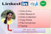 do linkedin and wordpress data entry for you
