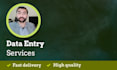 do fast and precise data entry and web research