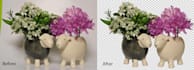 cut out images, background removal professionally