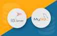 design databases, write queries procedures in sql