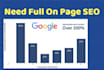set your wordpress website design, search engine, and on page issues
