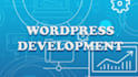 provide fix for any wordpress issues, errors or problems