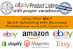 do ebay product listing store listing with SEO optimization meta description