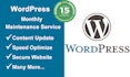 provide monthly wordpress maintenance