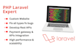 laravel web application development with apis integration
