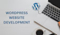 professional wordpress theme installation and customization