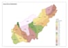 watershed and stream networks