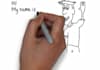 create a WHITEBOARD Animation Video