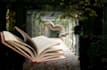 beta read your fantasy story