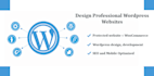 design professional wordpress websites for you