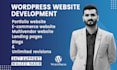 develop a professional and stunning wordpress website