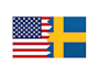translate swedish for you