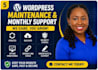 maintain, update, and support your wordpress website